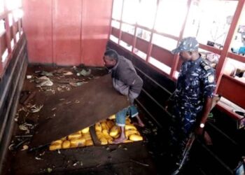 Bénin: Des tonnes de drogue arraisonnées à Sèmè-Kraké