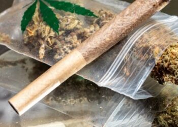Troubles mentaux : l’alerte d’un psychiatre concernant les jeunes et l’usage du cannabis