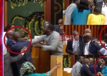Assemblée nationale : Thierno Alassane Sall échappe à une agression, la séance suspendue