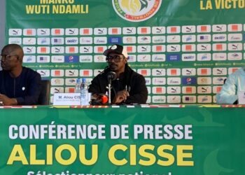 Direct : Publication de la liste des Lions pour la coupe du monde