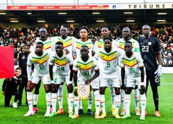 CDM: les numéros de maillot des Lions dévoilés