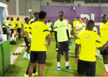 CDM 2022: Dernier galop des Lions avant le Qatar, un seul absent notable