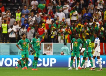 Primes du Mondial 2022 : jusqu’à 115 millions pour chaque Lion, 230 millions pour Aliou Cissé