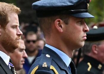 Harry règle ses comptes avec William dans la fin de son documentaire