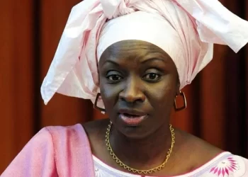 Gestion financière du Cese: Chèque et mat pour Mimi