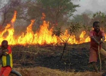 24 heures d’affilée de feu de brousse au Ranch de Dolly