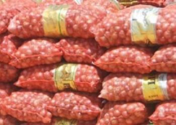 Importation de 10 000 t d&rsquo;oignons : Les producteurs locaux fustigent la décision du gouvernement