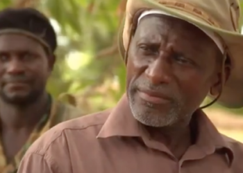 Casamance : ce que Salif Sadio a dit à l&rsquo;émissaire envoyé par Embaló