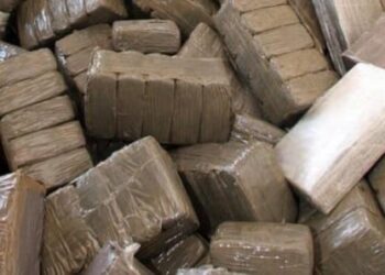 Kolda : 1 kg de drogue saisi sur 4 dealers