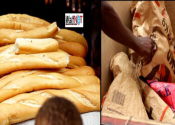 Augmentation du coût de l’électricité : La colère monte chez les boulangers sénégalais