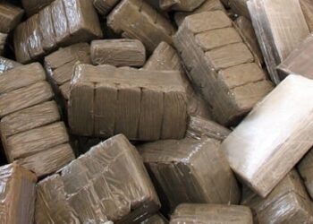 Élargi après 20 ans de prison : Un ex-meurtrier arrêté par la BR de Keur Massar avec 21 kg de drogue