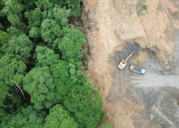 Bignona : L’horrible découverte dans la forête de Tenghory
