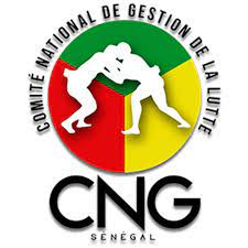 LUTTE CONTRE LA PANDÉMIE DE LA COVID-19 : LE CNG RECOMMANDE DE DOCUMENTER LA RIPOSTE DU SÉNÉGAL