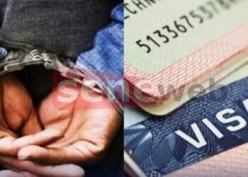 Escroquerie au visa : un opérateur économique arrêté