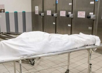 Joal : le berger égorge son collègue qui a tapé sa…