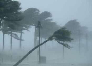 Un vent fort attendu sur la Grande-Côte et Dakar