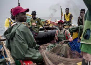 Pêche : Les mareyeurs lancent un appel à la coopération pour sauver le secteur