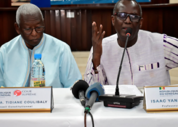 Pr. Issac Yancoba Ndiaye : « Il y a un véritable problème de culture de démocratie dans beaucoup de pays africains »