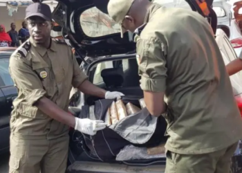 30 kg de cocaïne saisis par la brigade commerciale des Douanes de Keur Ayip