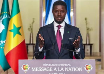 Dr Cheikh Diallo: “Le président Diomaye est là pour un mandat unique”