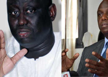 « Un âne qui braie », « Insolence et médiocrité » : Aliou Sall dézingue Mansour Faye