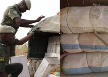 Somone : 157 kg de drogue saisis, les convoyeurs en fuite à bord d&rsquo;une pirogue