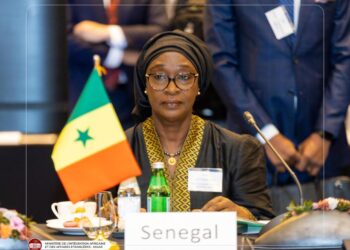 FOCAC : Yassine Fall loue les «efforts» du Président Xi Jinping