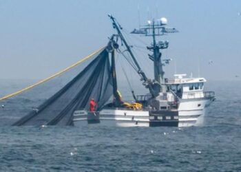 Licence de pêche : Voici la liste des 105 navires bénéficiaires